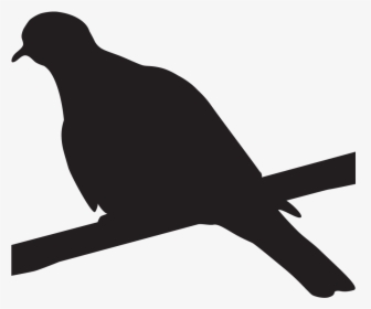 Black White Wing Dove, HD Png Download, Transparent PNG