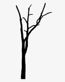 Trees Without Leaves Png - Spooky Trees Silhouette Bare, Transparent Png, Transparent PNG
