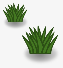 Plant,leaf,aloe - Bush Clipart, HD Png Download, Transparent PNG