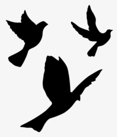 Pigeons And Doves English Carrier Pigeon Homing Pigeon - Flying Dove Silhouette Png, Transparent Png, Transparent PNG