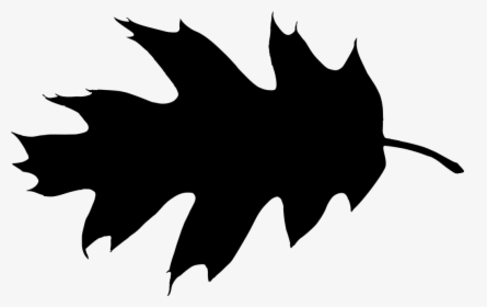 Maple Leaf Silhouette Clip Art - Leaf Silhouette, HD Png Download, Transparent PNG
