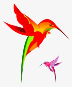 Google Hummingbird Png, Transparent Png, Transparent PNG