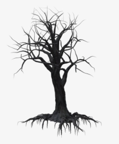 Free Tree Png Black And White Broken Tree - Tree, Transparent Png, Transparent PNG