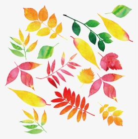 Autumn Leaf Color - Dekoracje Jesienne Sali Przedszkolnej, HD Png Download, Transparent PNG