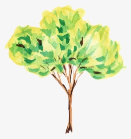 Watercolor Tree Transparent Background, HD Png Download, Transparent PNG