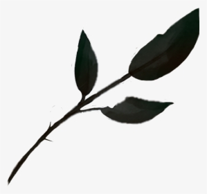 #dead Leaves - Flower, HD Png Download, Transparent PNG