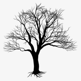 Tree,branch,woody Stem,black And White,illustration,line - Kill A Mockingbird Tree, HD Png Download, Transparent PNG