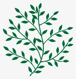 Branches With Leaves Clip Arts - Leaves On A Branch, HD Png Download, Transparent PNG