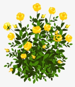 Yellow Rose Picture Gallery - Flowers Bush Clipart Png, Transparent Png, Transparent PNG