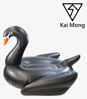 Transparent Pool Float Png - Black Swan, Png Download, Transparent PNG