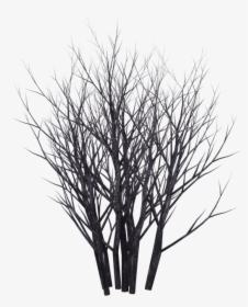 Shrubs Png Black And White - Monochrome, Transparent Png, Transparent PNG