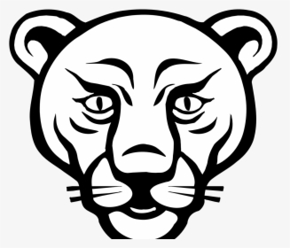 Transparent Lioness Png - Face Mountain Lion Drawing, Png Download, Transparent PNG