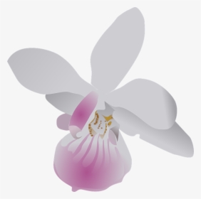 Butterfly, Orchid, Flower, Purple, White, Flora, Floral - Orchid Clip Art, HD Png Download, Transparent PNG