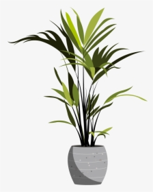 Houseplant Tall, HD Png Download, Transparent PNG