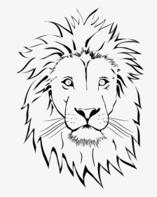 Lion Tattoo Png Image Free Download Searchpng - Lion Face Line Drawing, Transparent Png, Transparent PNG