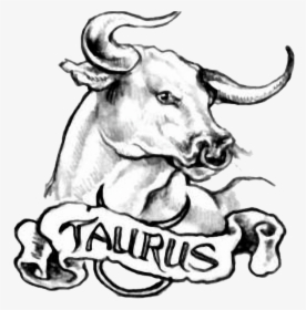 Taurus Tattoo Design, HD Png Download, Transparent PNG
