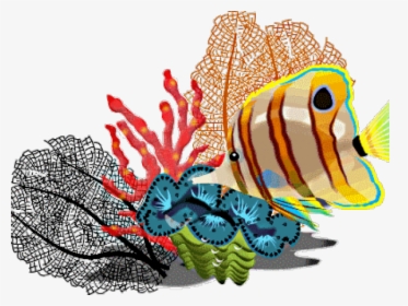 Tropical Fish Clipart Butterfly Fish - Tropical Fish Clip Art, HD Png Download, Transparent PNG