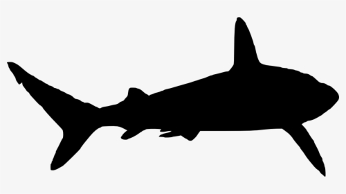14 Cliparts For Free - Great Shark Silhouette Png, Transparent Png, Transparent PNG