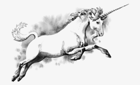 Free Download Unicorn Png Images - Do Unicorns Have Horns, Transparent Png, Transparent PNG
