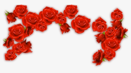Red Wine Rosxe9 Rose - Transparent Red Roses Border, HD Png Download, Transparent PNG