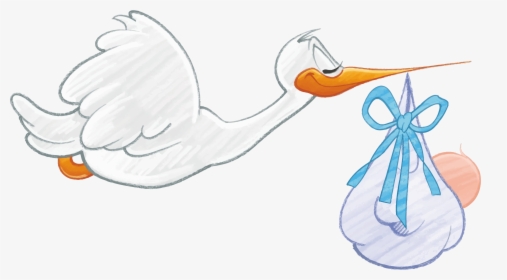 Stork Carrying Baby - Stork Carrying Baby Png, Transparent Png, Transparent PNG