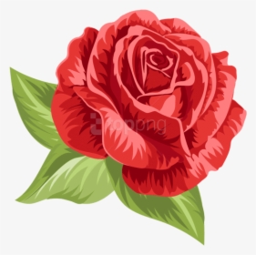 Vintage Rose Png - Vintage Rose Illustration Roses, Transparent Png, Transparent PNG