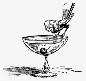 Bird On A Cocktail, HD Png Download, Transparent PNG