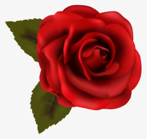 Red Rose Clipart Backgroundless - Transparent Background Rose Clipart, HD Png Download, Transparent PNG