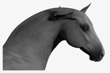 Horse Ears Png - Stallion, Transparent Png, Transparent PNG