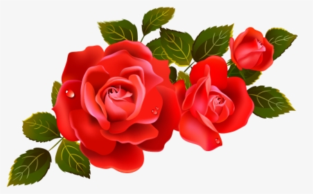 15 Rose Vector Png For Free Download On Mbtskoudsalg - Rose Clipart, Transparent Png, Transparent PNG