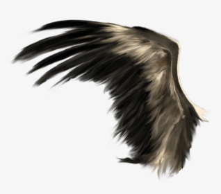 Wings Png Download - Realistic Black Wings Png, Transparent Png, Transparent PNG