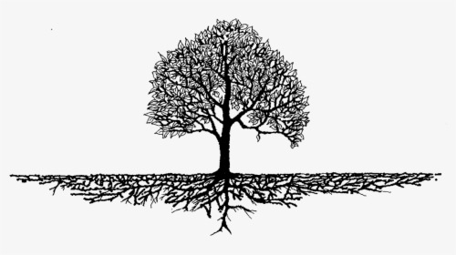 Tree With Roots Clipart Branch - Tree With Roots Art, HD Png Download, Transparent PNG