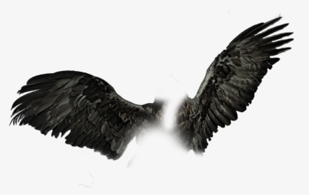Dark Wings Png Black Wings Pngs - Black Wings Png, Transparent Png, Transparent PNG