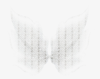Fairy Wings Png Photo - Macro Photography, Transparent Png, Transparent PNG
