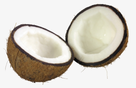 Coconut Png Image, Transparent Png, Transparent PNG