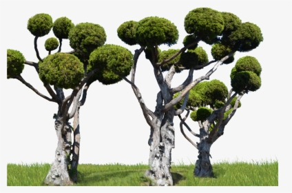 Round Tree Forest Png Stock In Landscape 0007 By Annamae22 - Forest Pic Transparent Png, Png Download, Transparent PNG