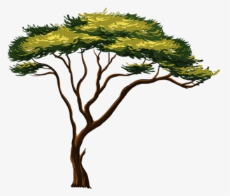 Africa Tree Png - African Tree Clipart, Transparent Png, Transparent PNG