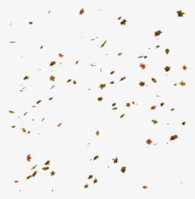 Autumn Leaves For Photoshop, HD Png Download, Transparent PNG