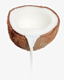 Coconut Png Free Download - Coconut Milk No Background, Transparent Png, Transparent PNG