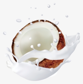 Coconut Milk Png - Coconut Milk No Background, Transparent Png, Transparent PNG