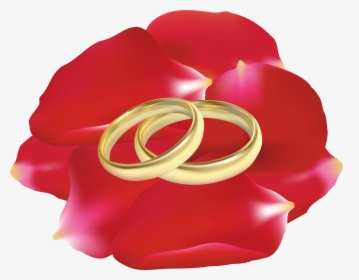 Wedding Rings In Rose Petals Png Clip Art, Transparent Png, Transparent PNG