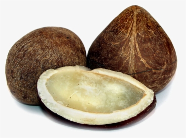 Dry Coconut Png, Transparent Png, Transparent PNG