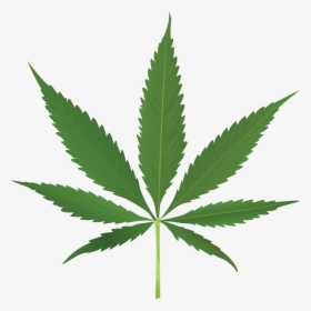Pot Leaf No Background - Transparent Background Cannabis Leaf, HD Png Download, Transparent PNG