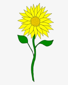 Free Flower Clipart - Sunflower Clipart, HD Png Download, Transparent PNG
