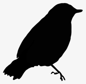 Black Bird Png - Black Bird Clipart, Transparent Png, Transparent PNG