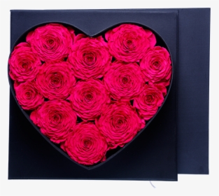 Picture Of My Heart For You - Garden Roses, HD Png Download, Transparent PNG