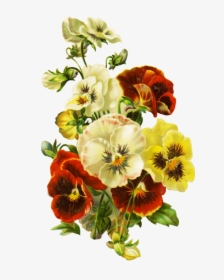 Bouquet Of Pansies - Flower, HD Png Download, Transparent PNG