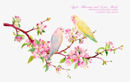 Love Bird Water Color, HD Png Download, Transparent PNG