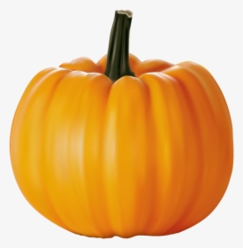 Vector Pumpkins Transparent - Pumpkin Png, Png Download, Transparent PNG