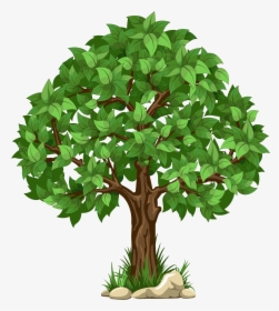 A Transparent Tree White Transparent - Transparent Background Tree Clipart, HD Png Download, Transparent PNG